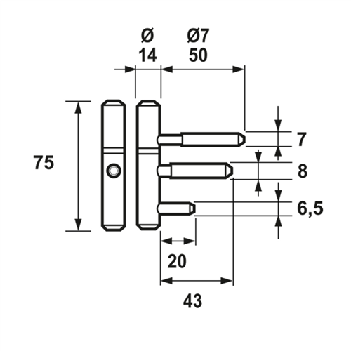 Inboorpaumelle Vernikkeld Axa - 1177 75X14MM