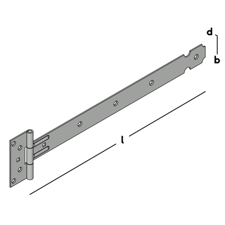 kruisheng licht zm