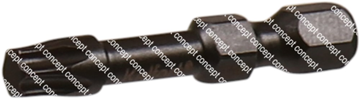 schroefbit torx ironside