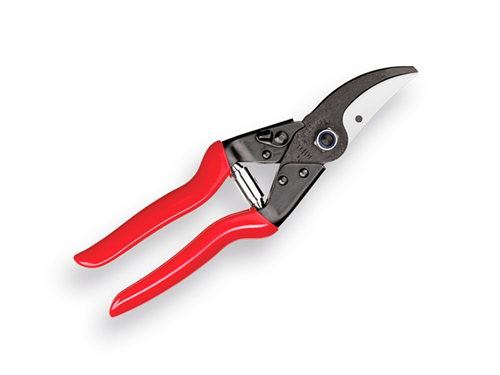 Snoeischaar Felco - FELCO 5 225MM